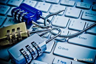 歐盟數(shù)據(jù)治理新走向 解讀《非個(gè)人數(shù)據(jù)自由流動(dòng)框架條例》下的數(shù)據(jù)處理與存儲(chǔ)支持服務(wù)